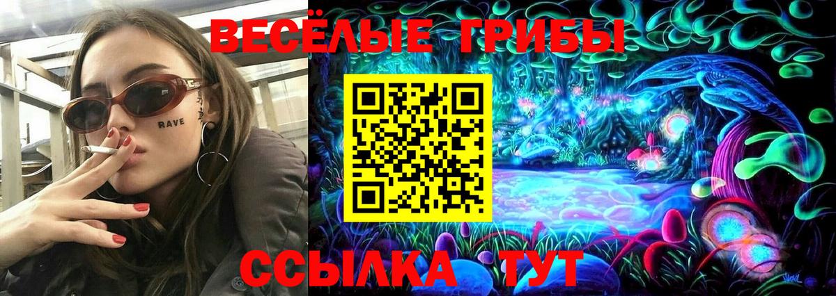 хочу наркоту  Галлюциногенные грибы прущие грибы  Вход с VPN  Городец 